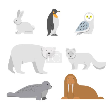 Illustration for Vector illustrations of arctic snow animals. Arctic bear and penguin, north walrus and owl - Royalty Free Image