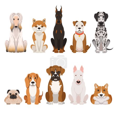 Illustrations drôles de chiens en style dessin animé. Animaux domestiques chien animal, chien de dessin animé drôle de race vectorielle
