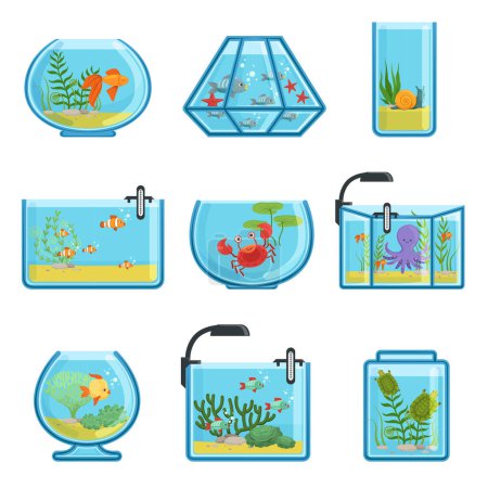 Illustration for Illustrations set of different aquariums with fishes and saltwater. Underwater world in aquarium with gold fish vector - Royalty Free Image