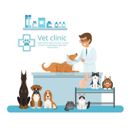 Téléchargez les illustrations : Animaux dans le cabinet de l'hôpital vétérinaire. Illustration vectorielle. Clinique vétérinaire médicale pour animaux chat et chien - en licence libre de droit