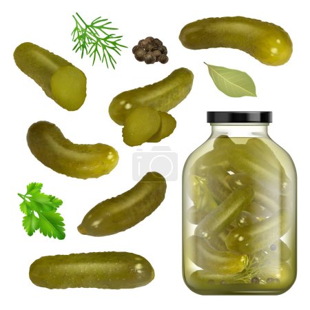 Pickled cucumbers. Sliced gourmet products herbs parsley black pepper green spice for canned food homemade cucumbers in jar decent vector pictures. Cucumber food and green pickled illustration