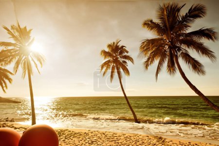 Photo for Beautiful beach, palm trees, ocean, nature, sunny retreat - Royalty Free Image