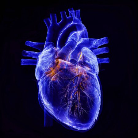 Película de rayos X del corazón humano sobre un fondo azul oscuro