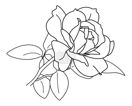 Photo for Rose - Beautiful White Rose Black Outline Vector with Leaves and Stems for Wedding Ceremony, Greeting Card, and Valentine's Social Media Post - Royalty Free Image