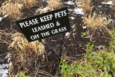 Téléchargez les photos : Neige fondante sur le sol, dans laquelle un panneau a été collé interdisant aux chiens de marcher sur la pelouse - en image libre de droit