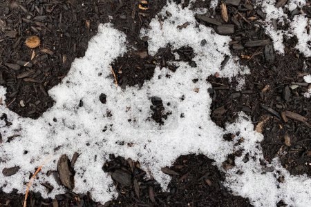 Téléchargez les photos : La fonte de la neige au sol - en image libre de droit