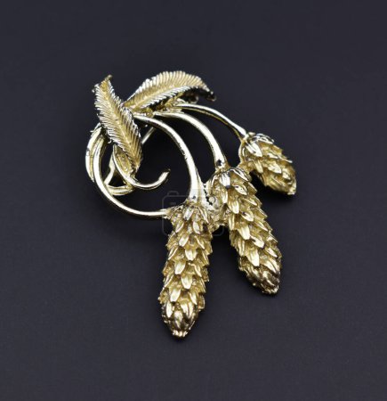 Golden brooch on a black background. Jewelry and accessories.