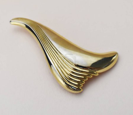 golden brooch on a white background, close-up of photo