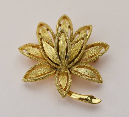 Beautiful golden brooch on a white background, close-up