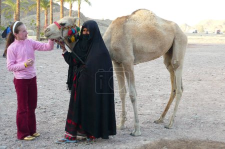 Téléchargez les photos : Une jeune femme nourrit un chameau au Caire, en Egypte. - en image libre de droit