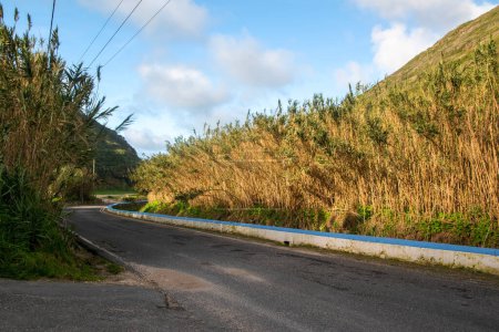 Carretera rural en las tierras altas de la isla de Madeira, Portugal