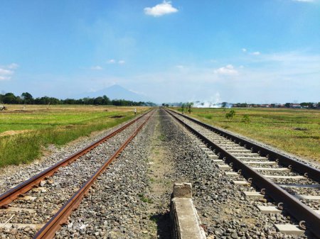 Foto de Dos líneas de ferrocarril en el arrozal - Imagen libre de derechos