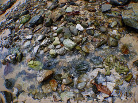 Piedras y agua en una playa en Banyuwangi, Indonesia