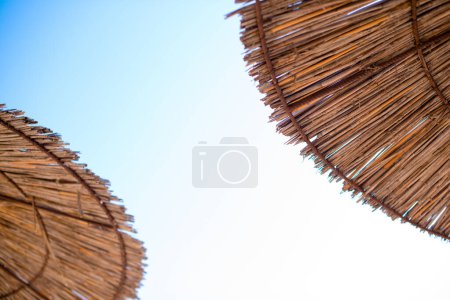 Foto de Cielo azul y sombrillas en la playa
. - Imagen libre de derechos