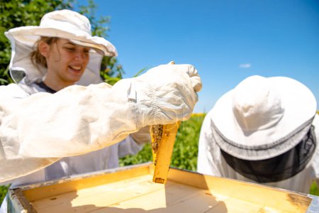 Téléchargez les photos : Fille apiculteur vérifie ses rayons d'abeille, avec des vêtements de protection sur elle - en image libre de droit