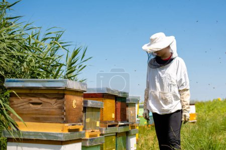 Fille apiculteur sur une inspection sur le terrain