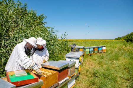 Padre e hija apicultores están trabajando en su granja de abejas