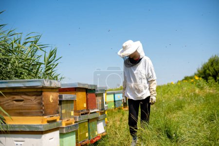 Girl beekeeper is checking her bee farm