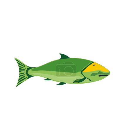 Téléchargez les illustrations : Poisson de couleur verte, illustration de poissons d'aquarium vectoriel. icône de poisson aquarium plat pour votre conception. - en licence libre de droit