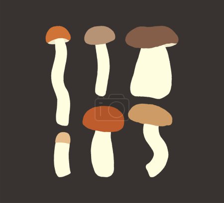 Téléchargez les illustrations : Coffret d'illustration pour champignons plats. Illustration vectorielle des cèdres. Affiche forêt d'automne - en licence libre de droit