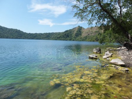 Hermosa vista del lago en la isla de Santonda con algunos algeas y árboles. Foto de alta calidad