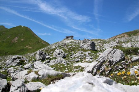 SAC Carschina, Schweiz Wandersaison Sommer mit Felsen und Blumen, blauer Himmel. Hochwertiges Foto