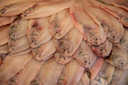 Foto de Flounders en una pila para la venta en el mercado - Imagen libre de derechos
