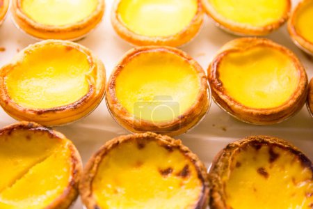 Téléchargez les photos : Custard aux œufs portugais dans une boulangerie - en image libre de droit