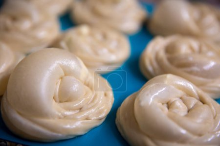 Photo for Rolled up uncooked roti canai dough Close Up - Royalty Free Image