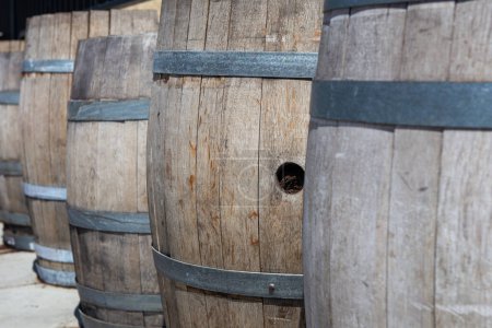 Row of Wooden Barrels at a vineyard