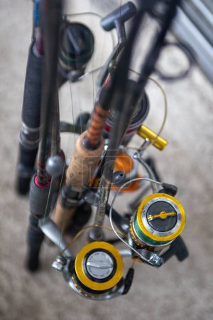 Photo for Group of Fishing Rods ready to go fish - Royalty Free Image