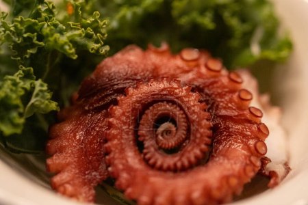 Foto de Octopus Sashimi Servido en un juego - Imagen libre de derechos