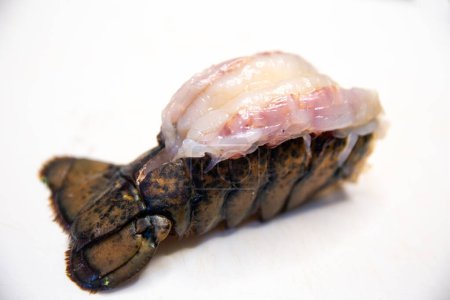 Isolated Raw Lobster Tail to be cooked