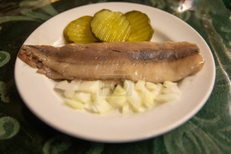 Dutch Herring Plated with onions and pickles