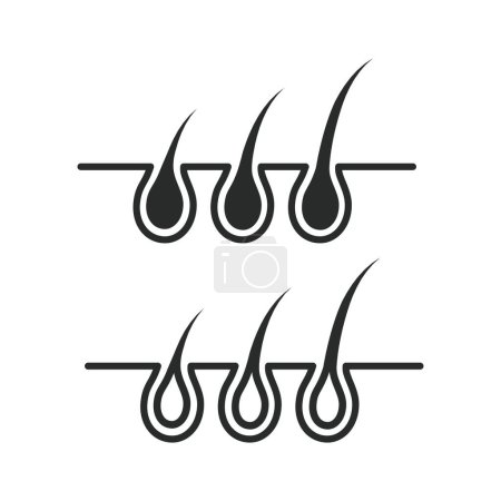 Téléchargez les illustrations : Illustration graphique vectorielle de croissance des cheveux - en licence libre de droit