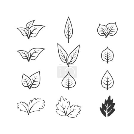 Illustration for Leaf icon graphic vector design illustration - Royalty Free Image