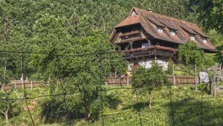 Foto de Ein typisches Schwarzwaldhaus im Wald - Imagen libre de derechos