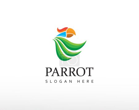 Illustration for Parrot logo color parrot logo beauty parrot logo bird logo creative parrot logo - Royalty Free Image