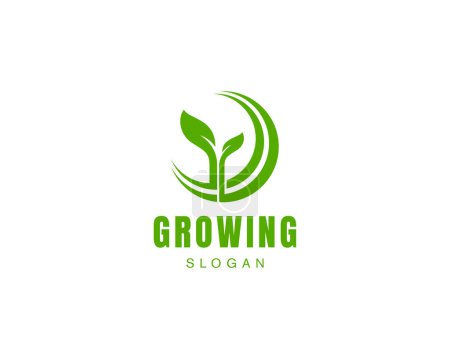 Illustration for Grow leaf logo, green logo vector, greenhouse logo abstract. - Royalty Free Image