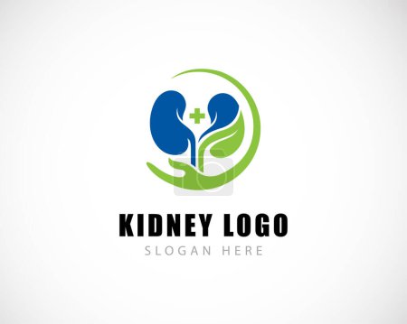 Illustration for Kidney logo creative concept hand care health medical solution doctor nature - Royalty Free Image