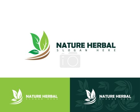 Téléchargez les illustrations : Logo nature créatif à base de plantes laisser vert modèle de conception de croissance - en licence libre de droit
