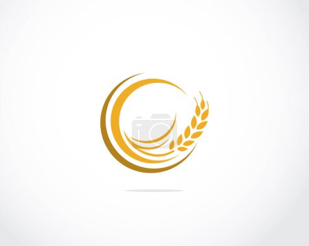Illustration for Agriculture wheat vector icon design - Royalty Free Image