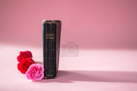 Téléchargez les photos : Diptford, Devon, uk. 2 février 2023. Une vieille Bible avec trois roses colorées à ses côtés. Il repose sur un fond rose calme. Espace de copie. Focus sélectif sur la formulation de la Sainte Bible. - en image libre de droit
