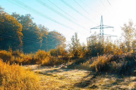 Photo for Power line in forest against a sunshine. Road, trees, bushes and wires leading to the power tower. - Royalty Free Image