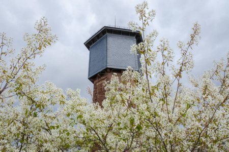Photo for An old water tower and a blooming amelanchier. Cloudy sky in the background. - Royalty Free Image