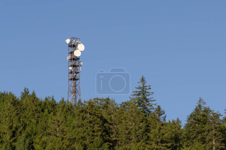 Photo for Communication tower in forest with dish antennas. Forest in the foreground and blue clear sky. - Royalty Free Image