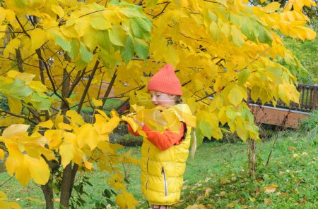 five-year-old girl next to an autumn yellow tree. She is wearing yellow vest, orange hat and orange hoodie. leaves are bright yellow and grass is still green.