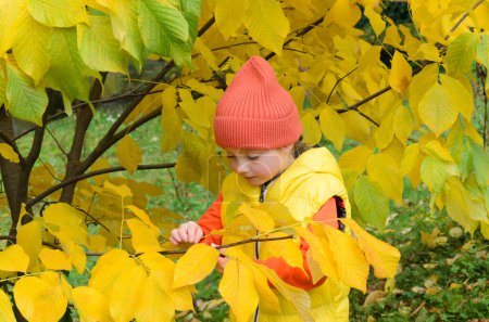 fille de cinq ans à côté d'un arbre jaune d'automne. Elle porte un gilet jaune, un chapeau orange et un sweat à capuche orange. feuilles sont jaune vif et l'herbe est encore verte.
