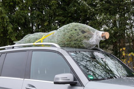 Voiture en argent avec un arbre de Noël attaché au toit à l'aide de cordes et de sangles. L'arbre est sécurisé avec un filet et la voiture est garée dans une allée enneigée.