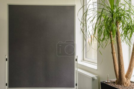Close-up of a black pinboard by a window. Background. Copy space. Place for text. Green indoor plant on the right. Heater radiator